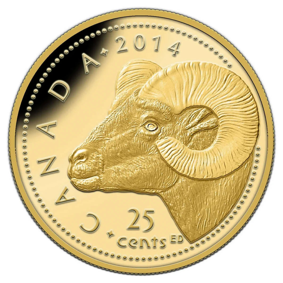 2014 25c Rocky Mountain Bighorn Sheep - Pure Gold Coin